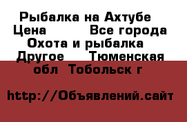 Рыбалка на Ахтубе › Цена ­ 500 - Все города Охота и рыбалка » Другое   . Тюменская обл.,Тобольск г.